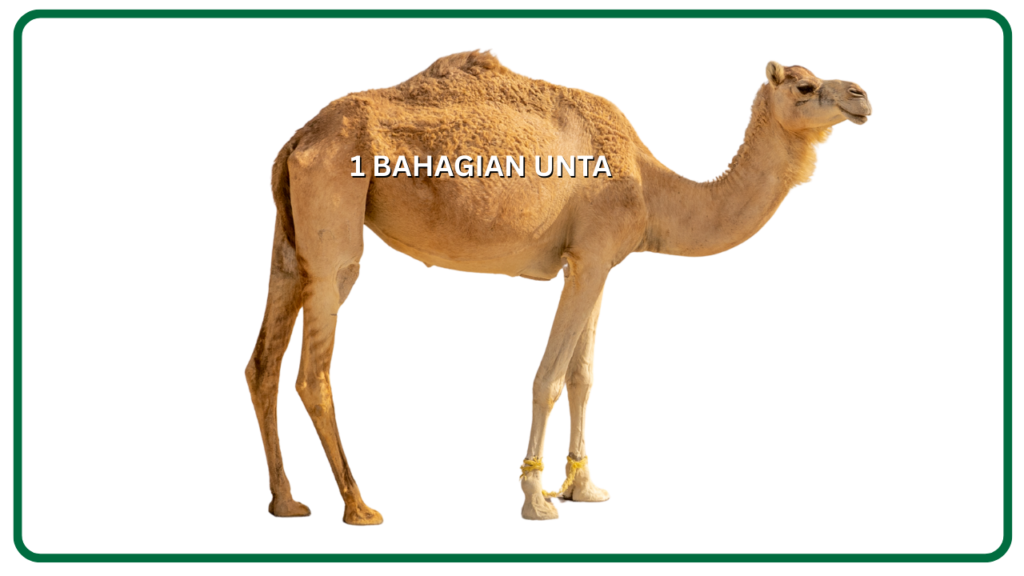 manisharamain.com (1)